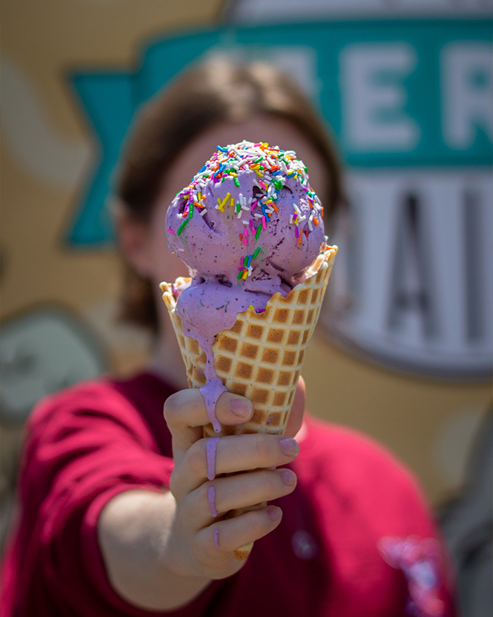 Merry Dairy Ice Cream Blueberry Lemon