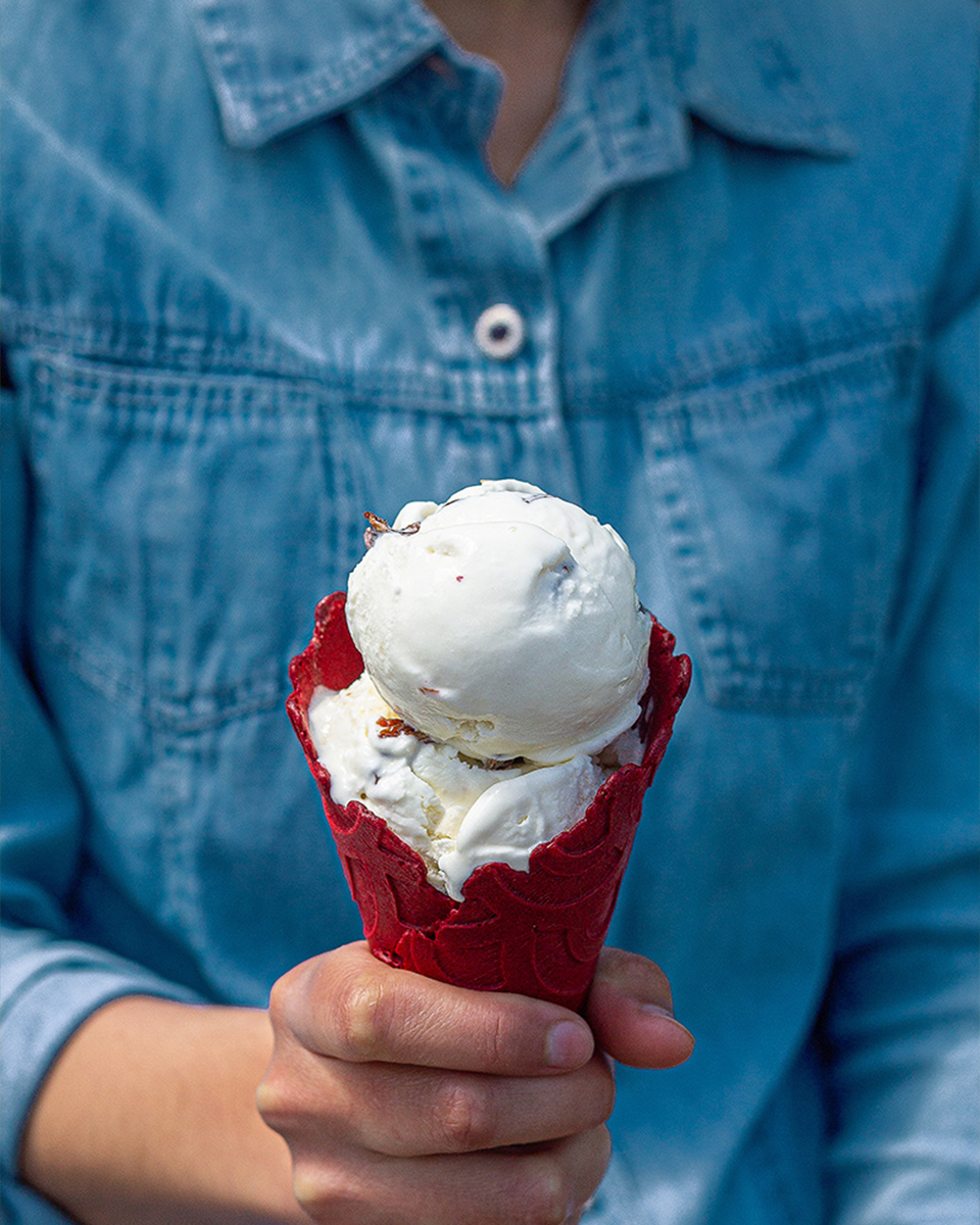 Merry Dairy Ice Cream Rum & Raisin