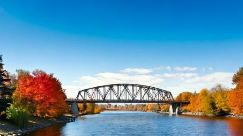 Low angle, showcasing the massive Alexandra bridge from
                    far.