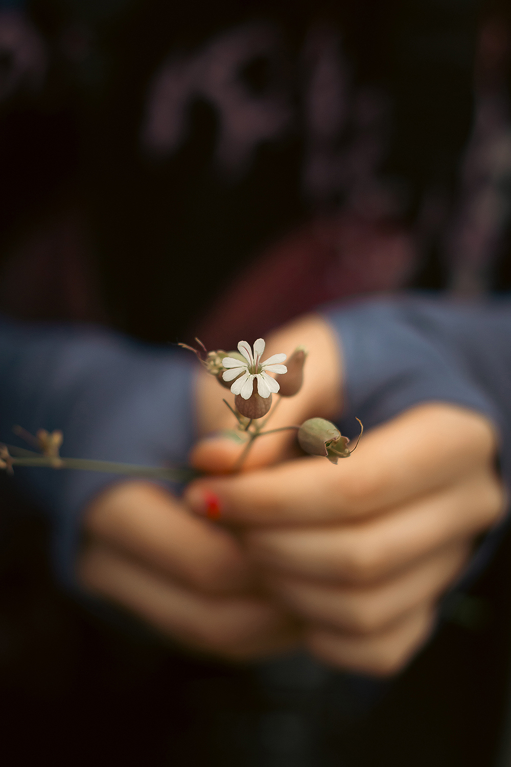 Holding flowers in hand, closeup