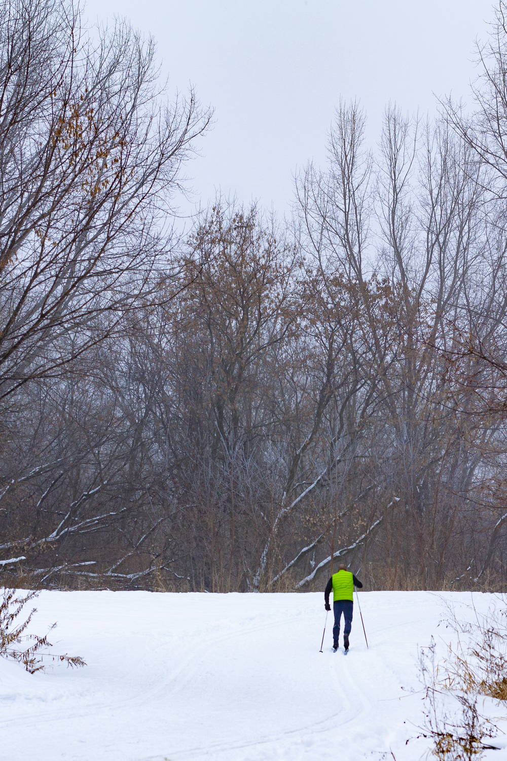 Man skiing on snow among trees